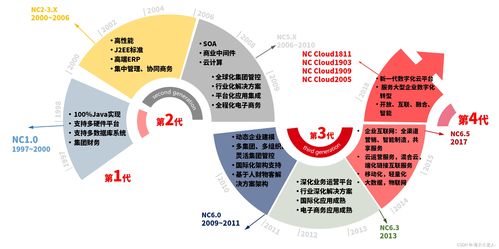 企业级bi应用与实践2 用友erp 以nc系列产品为例